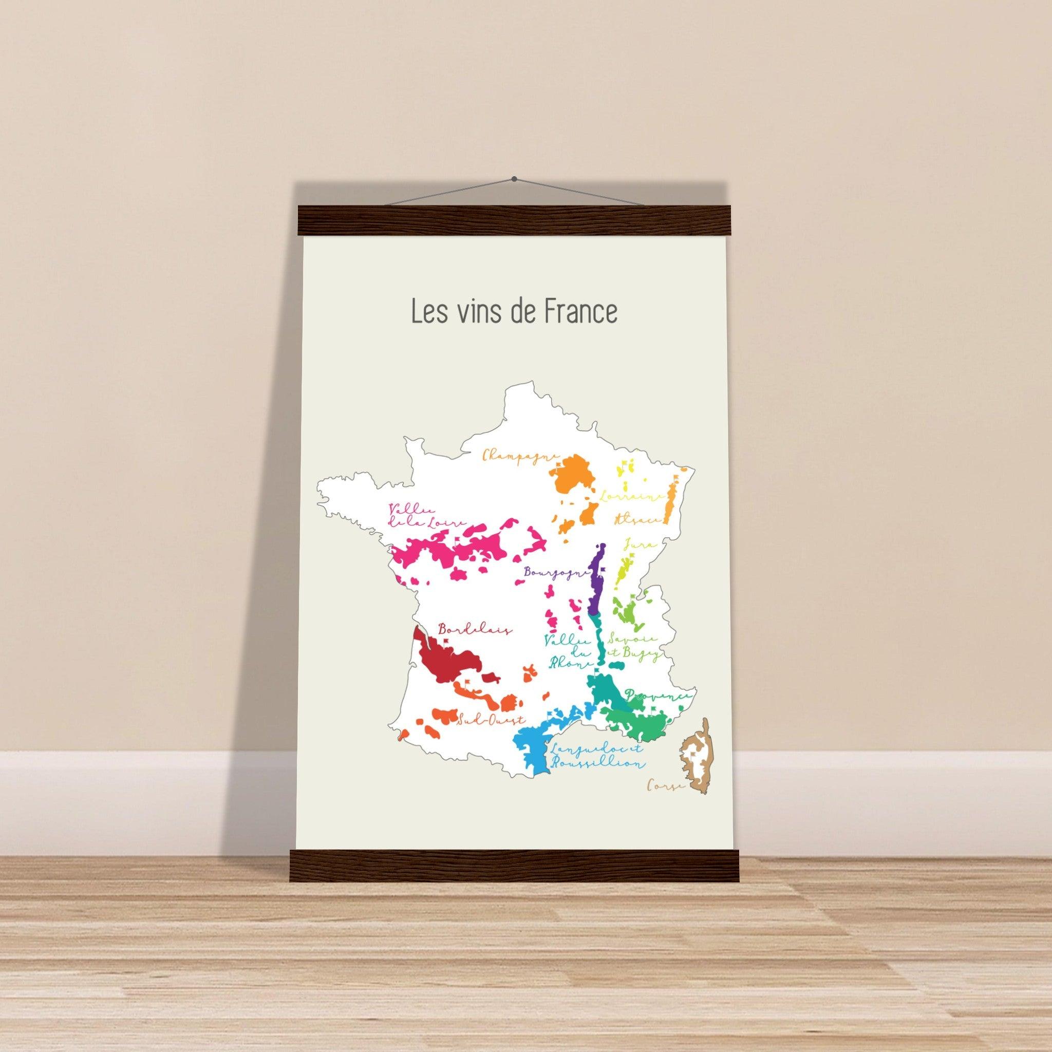 Les Vins de France: A Colorful Map for Wine Lovers - SOMM DIGI