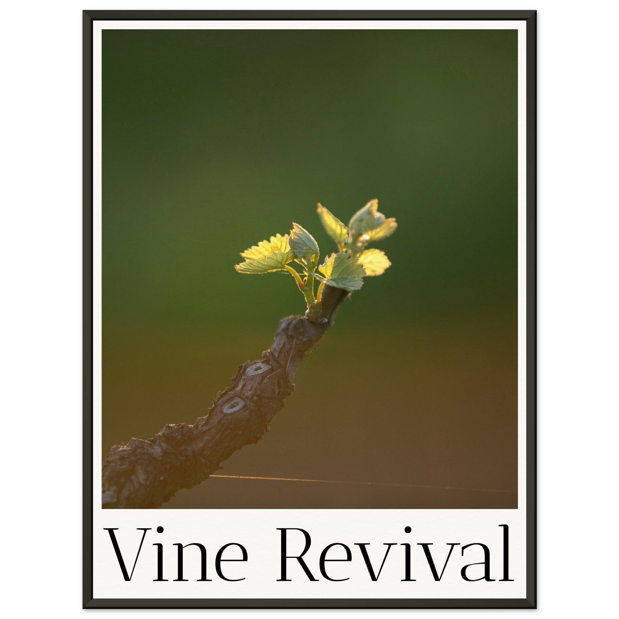 New Beginnings - Vine Revival Wall Art - SOMM DIGI