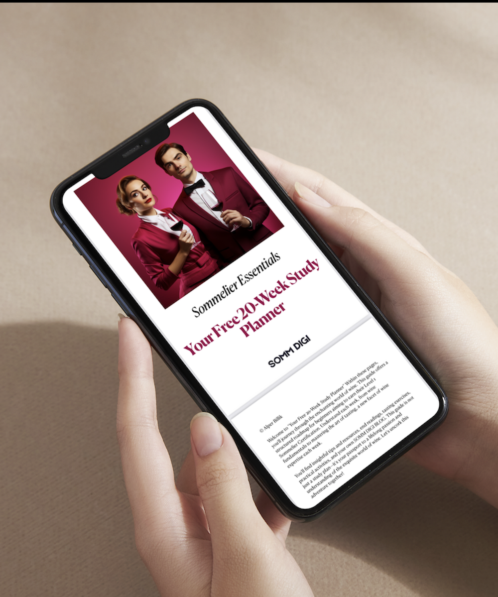Sommelier Study Bundle: Pass Level 1 with Ease!
