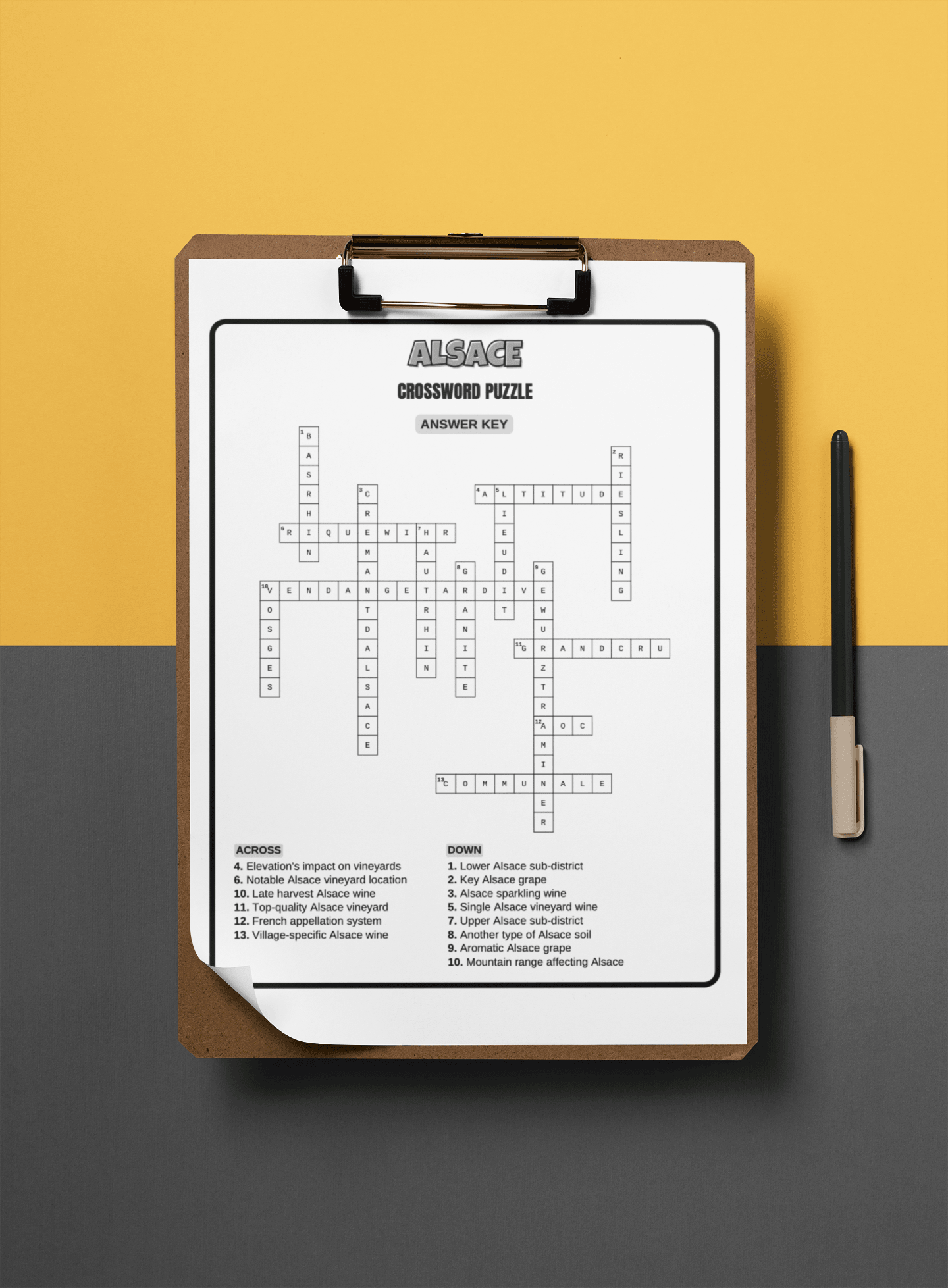 Vine to Mind: Sommelier Crossword Series - Levels 1 & 2 - SOMM DIGI