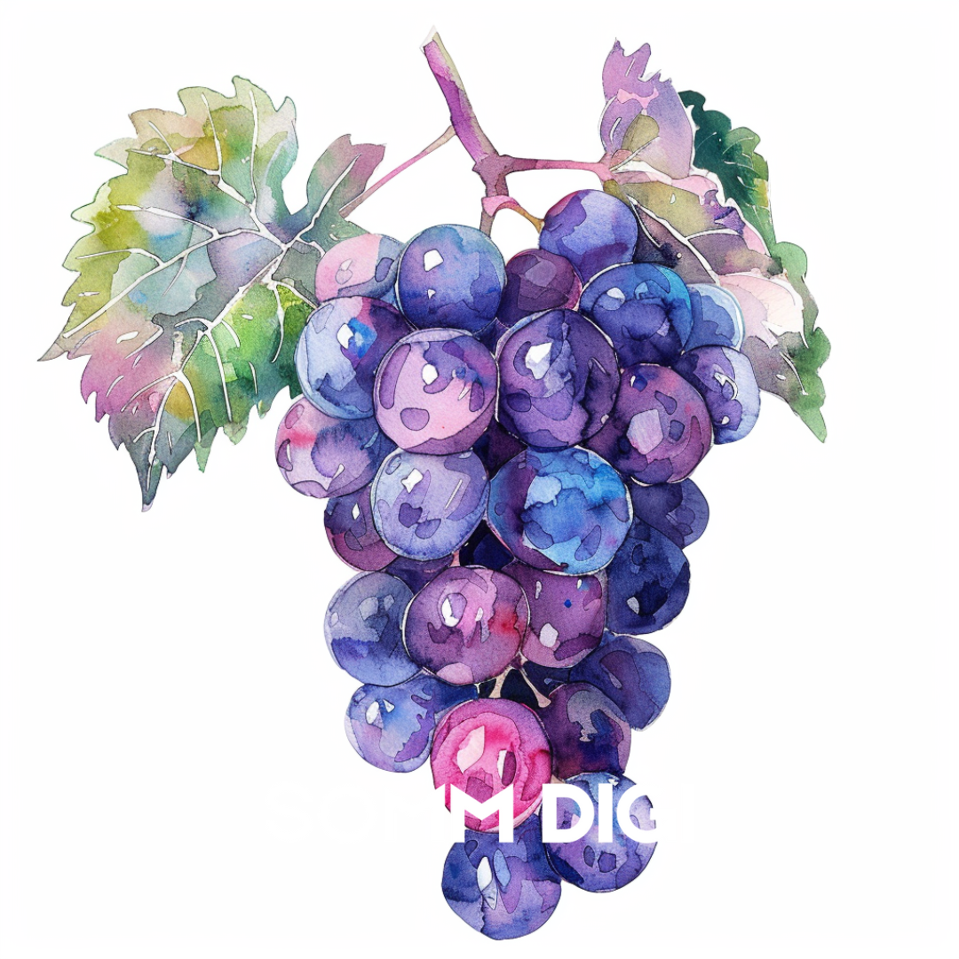 Grape Digital Art - 10