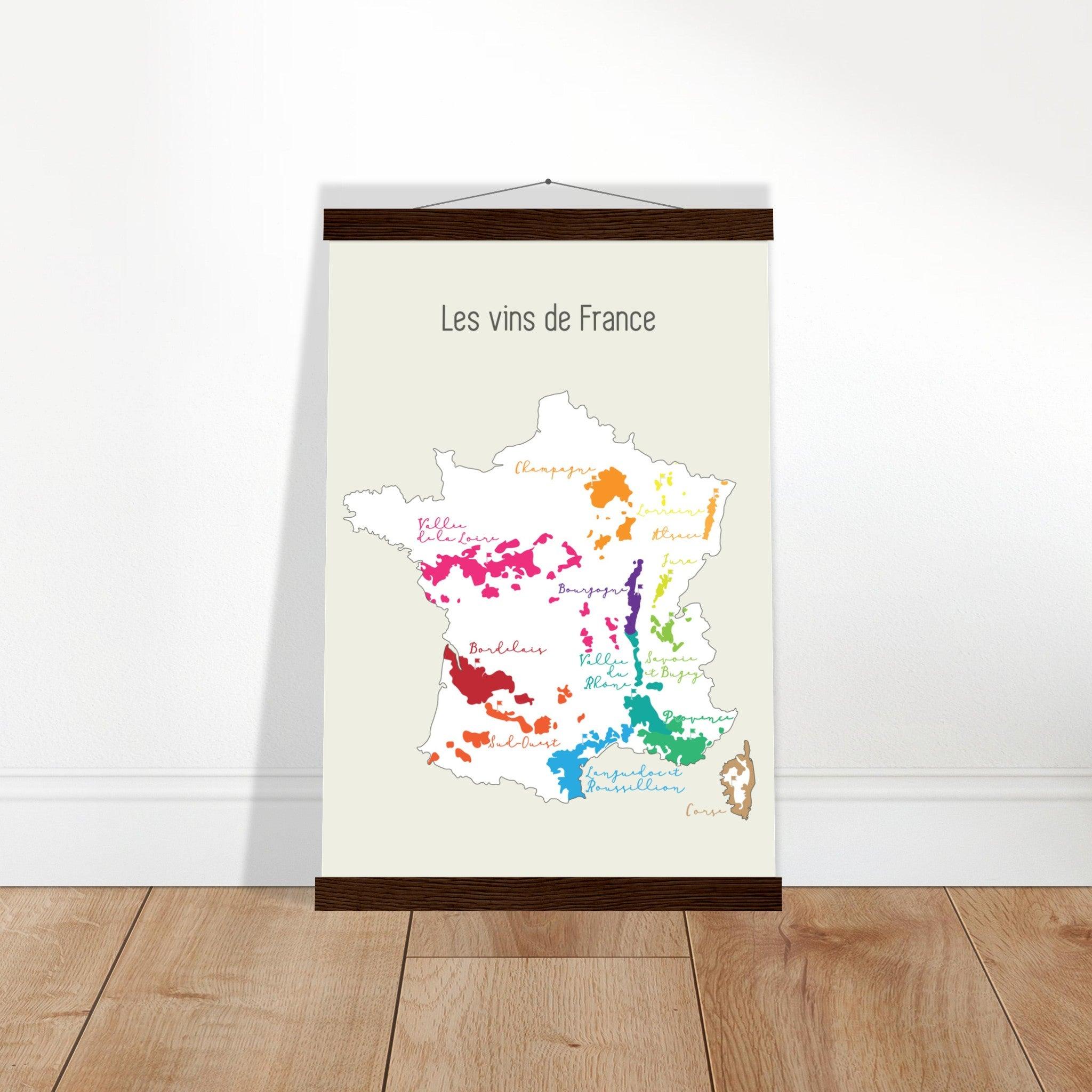 Les Vins de France: A Colorful Map for Wine Lovers