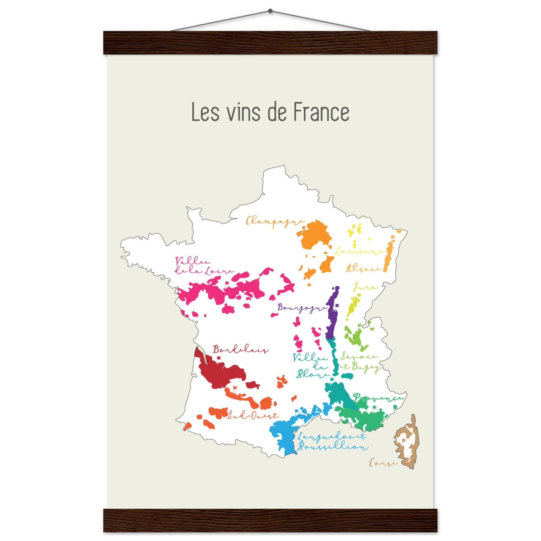 Les Vins de France: A Colorful Map for Wine Lovers